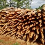 311238224_136920669087915_7114710523328341438_n